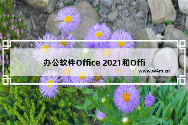 办公软件Office 2021和Office 365哪一个最好用？