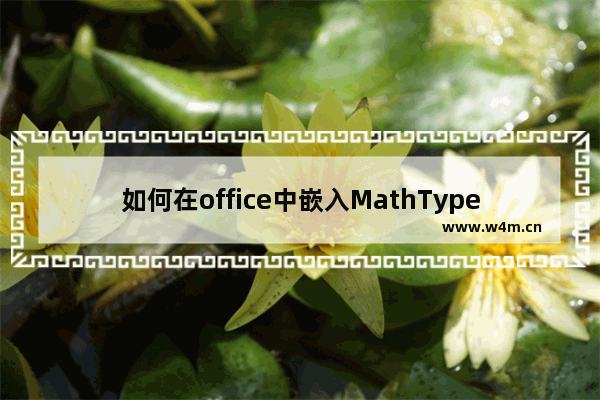 如何在office中嵌入MathType