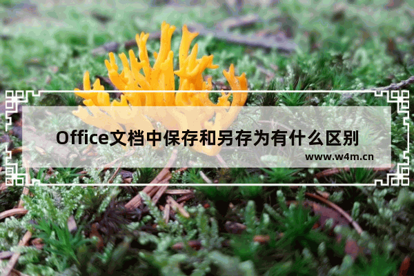 Office文档中保存和另存为有什么区别？