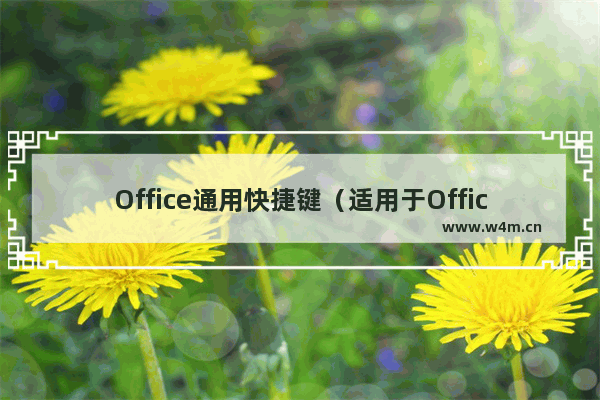 Office通用快捷键（适用于Office 2016，2019）