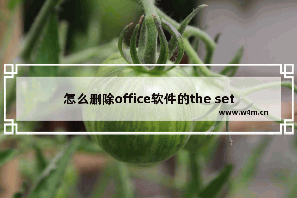 怎么删除office软件的the setup controller文件夹