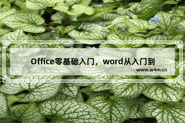 Office零基础入门，word从入门到精通，你也想轻松掌握吗？