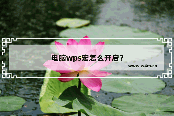 电脑wps宏怎么开启？