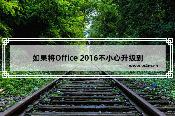 如果将Office 2016不小心升级到了2019，后悔了如何将Office退回到2016