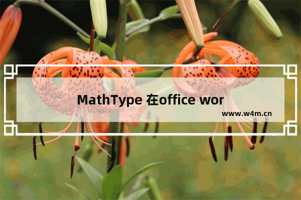 MathType 在office word中的应用实例教程