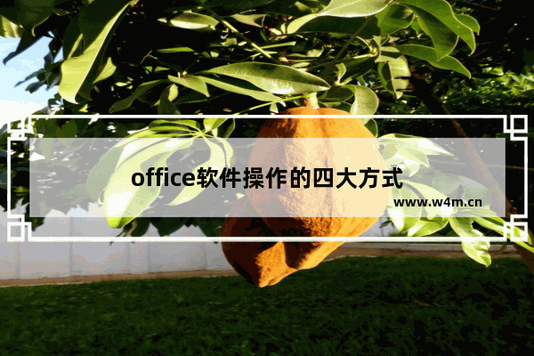 office软件操作的四大方式