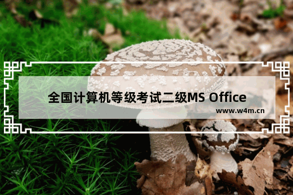 全国计算机等级考试二级MS Office知识点排查Excel部分