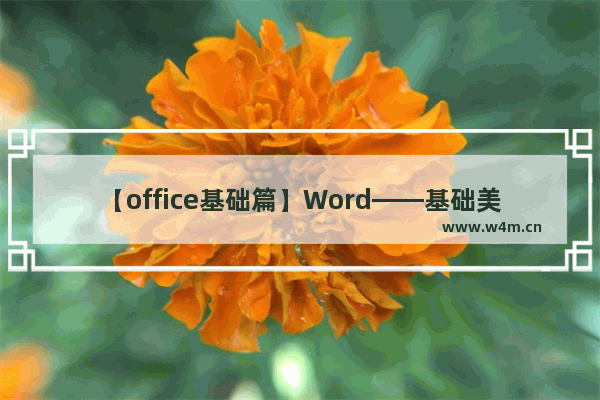 【office基础篇】Word——基础美化操作