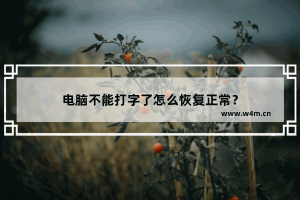 电脑不能打字了怎么恢复正常？