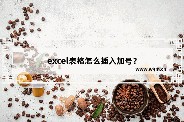 excel表格怎么插入加号？