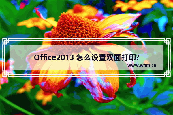 Office2013 怎么设置双面打印?