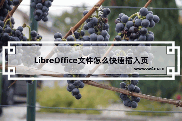 LibreOffice文件怎么快速插入页码?