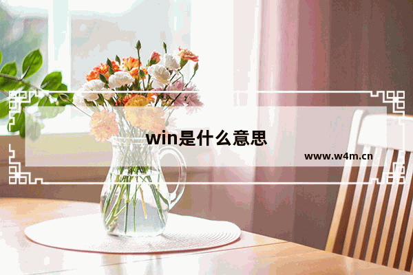 win是什么意思