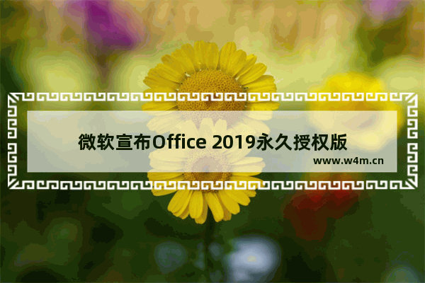 微软宣布Office 2019永久授权版 Office2007将停止服务