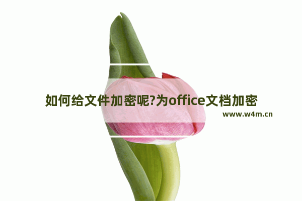 如何给文件加密呢?为office文档加密保护方法