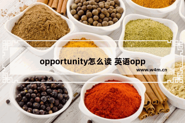 opportunity怎么读 英语opportunity怎么读