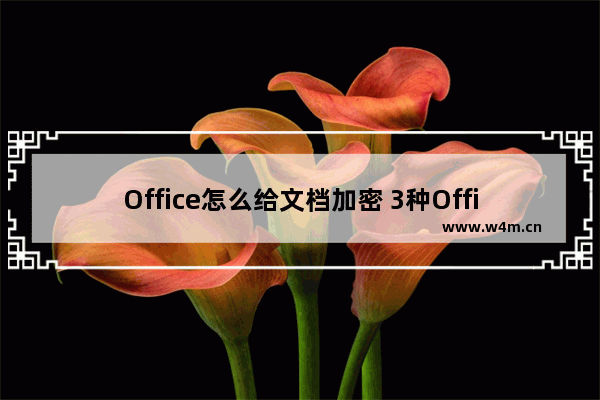 Office怎么给文档加密 3种Office文档加密方法图解