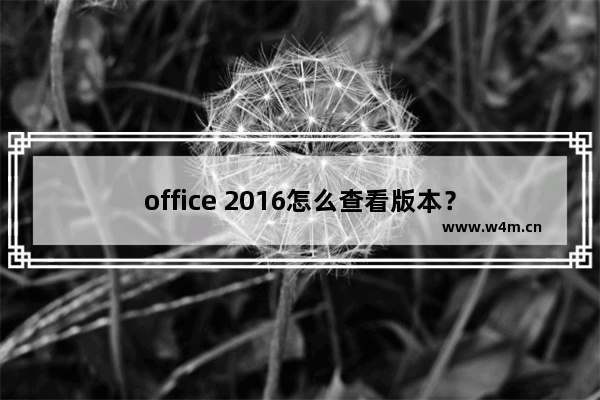 office 2016怎么查看版本？