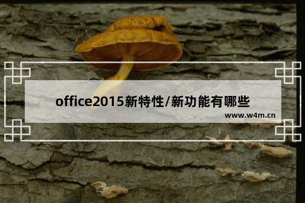 office2015新特性/新功能有哪些？2015office16更新内容