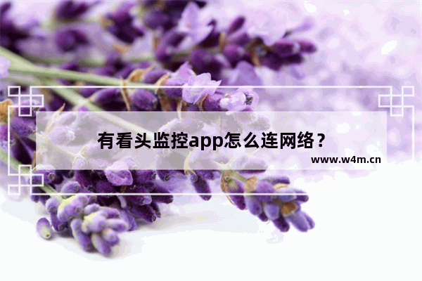 有看头监控app怎么连网络？