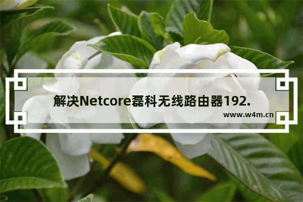 解决Netcore磊科无线路由器192.168.1.1打不开的方法