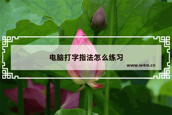 电脑打字指法怎么练习