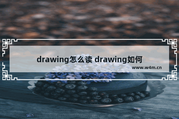 drawing怎么读 drawing如何读