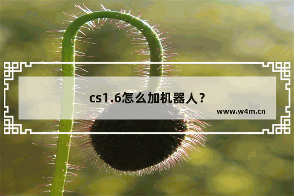 cs1.6怎么加机器人？