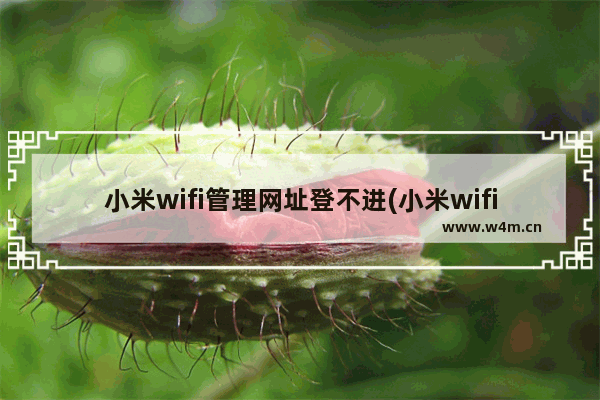 小米wifi管理网址登不进(小米wifi登录入口192.168.1.1)