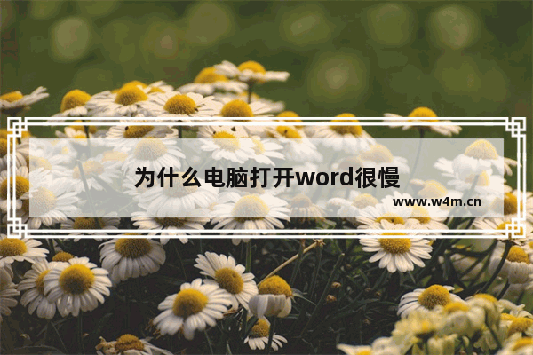 为什么电脑打开word很慢