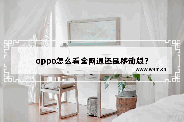 oppo怎么看全网通还是移动版？