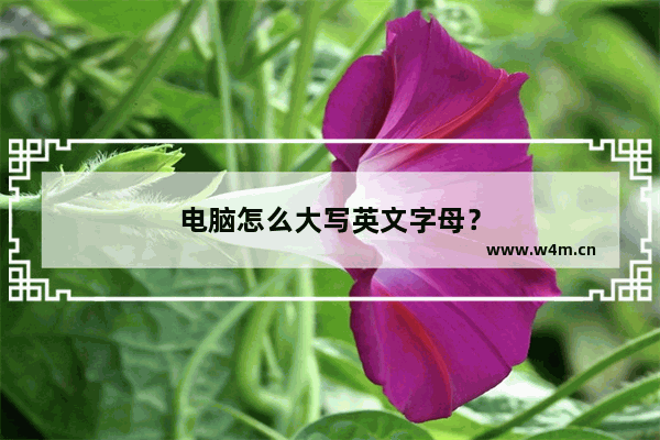 电脑怎么大写英文字母？