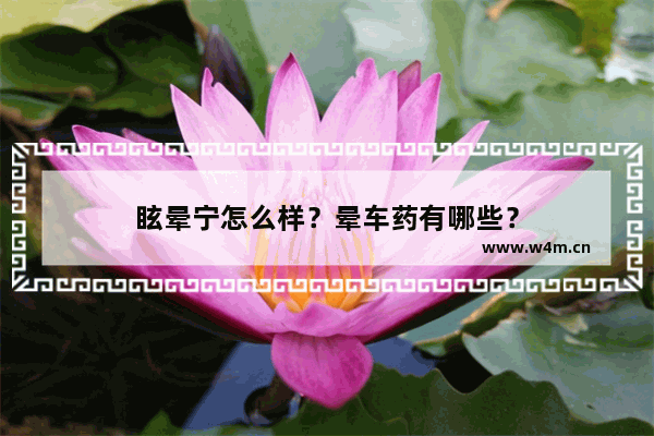 眩晕宁怎么样？晕车药有哪些？