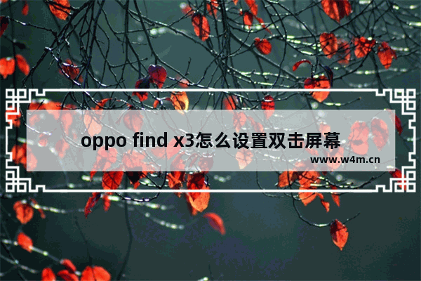 oppo find x3怎么设置双击屏幕亮屏？