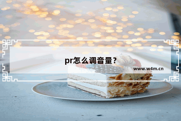 pr怎么调音量？