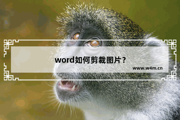 word如何剪裁图片？