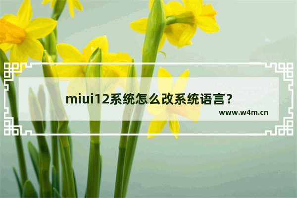 miui12系统怎么改系统语言？