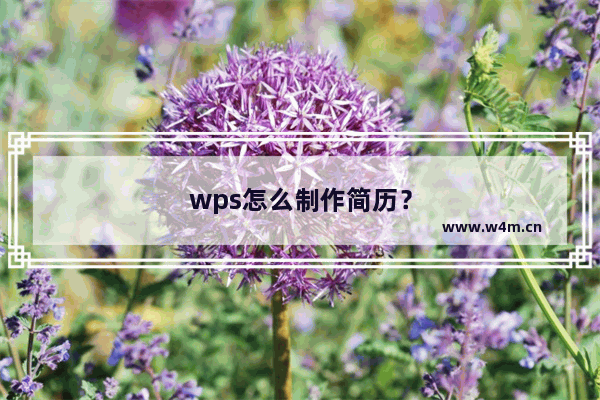 wps怎么制作简历？