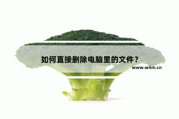 如何直接删除电脑里的文件？