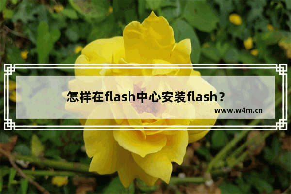 怎样在flash中心安装flash？