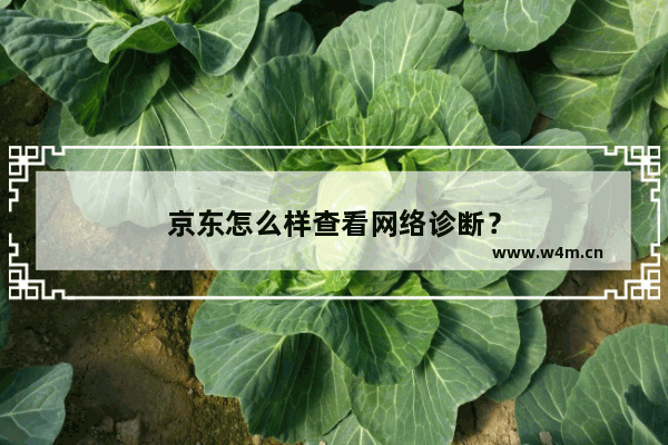 京东怎么样查看网络诊断？