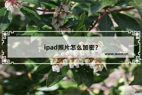 ipad照片怎么加密？