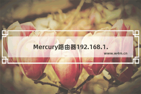 Mercury路由器192.168.1.1打不开怎么解决