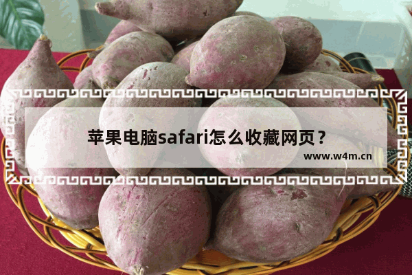 苹果电脑safari怎么收藏网页？