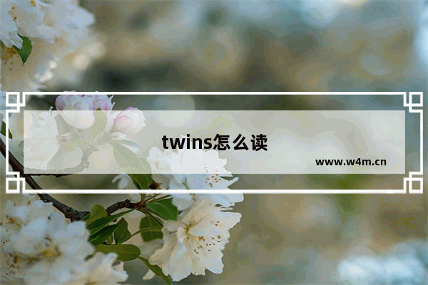 twins怎么读