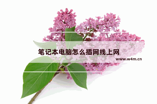 笔记本电脑怎么插网线上网