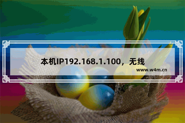 本机IP192.168.1.100，无线路由器如何登录？