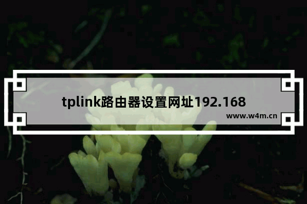 tplink路由器设置网址192.168.1.1（TP-LINK登录首页）