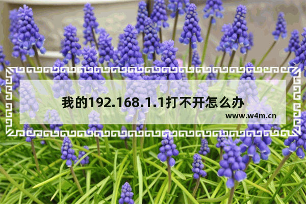 我的192.168.1.1打不开怎么办