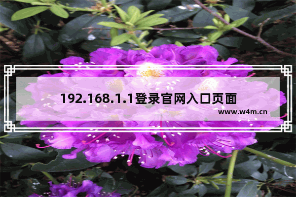 192.168.1.1登录官网入口页面